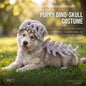 Realistic Dinosaur Skeleton Pet Hood Plush Mask Cosplay Photo Prop Hat