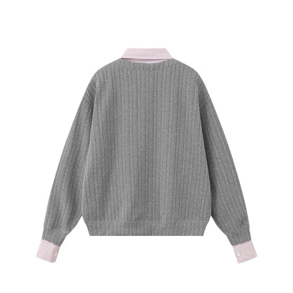 Apple note embroidered hoodie