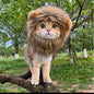 Halloween Lion Transformation Costume Pet Dog Cat Hat Adjustable Dog Accessories Cat Clothing