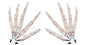 Halloween Articulated Long Fingers Glove